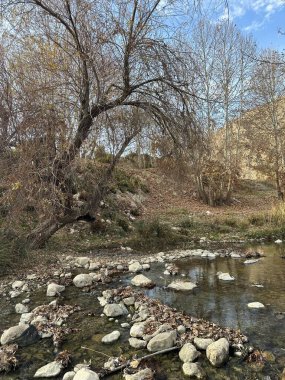Arkasında bir ağaç ve bir nehir olan güzel bir manzara.