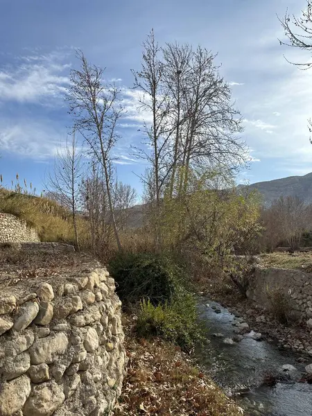 Doğanın güzel manzarası