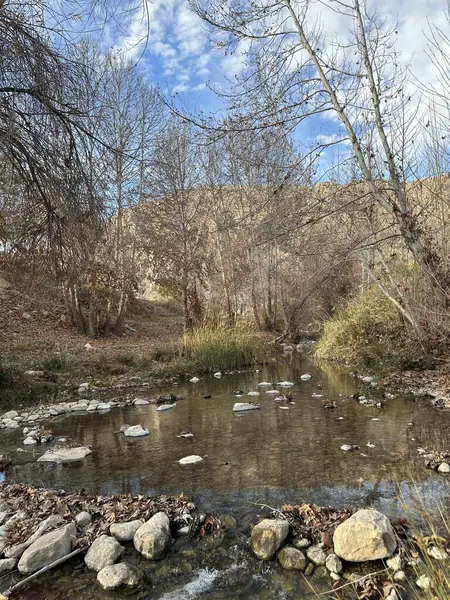 Doğa sahnesinin resimsel görüntüsü