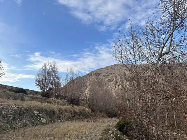 Dağlarda dağları olan güzel bir manzara.