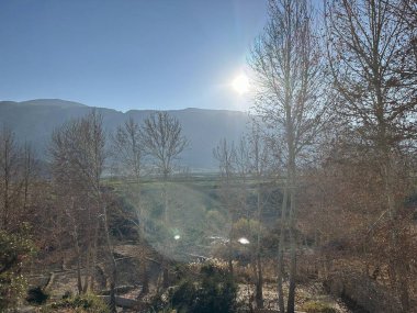 Parkta dağ manzaralı bir bank.