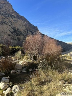 Arkasında dağ olan kayalık bir vadiden akan bir dere.