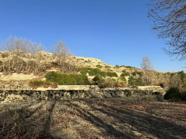 Taş duvarlı ve ağaçlı toprak bir yol.