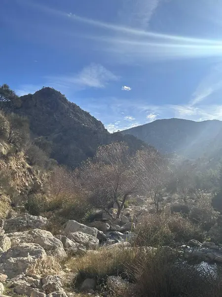 Kayalık bir yolda bisiklete binen biri.