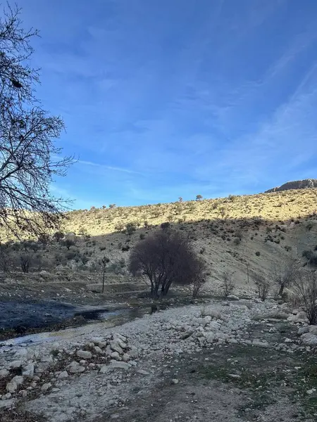 İçinden bir nehir akan toprak bir yol.