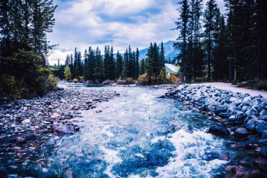 Calgary 'yi Banff, VANCOUver, Kanada' ya bağlayan nehir.