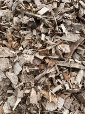 Bir yığın odun parçasının yakınına.