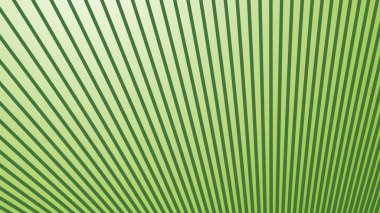 Arkaplan veya sunum için eğri çizgisi olan yeşil gradyan soyut arkaplan