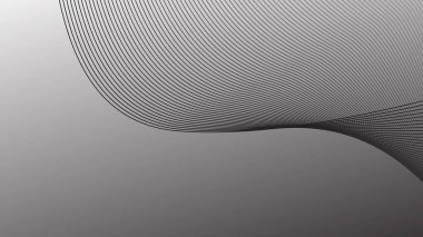 Arkaplan veya sunum için eğri çizgisi olan gri soyut arkaplan