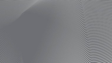 Arkaplan veya sunum için eğri çizgisi olan gri soyut arkaplan
