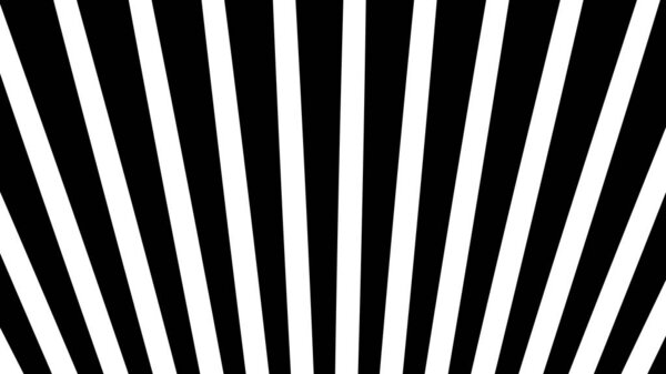 Black and white sunbrush abstract with line stripes
