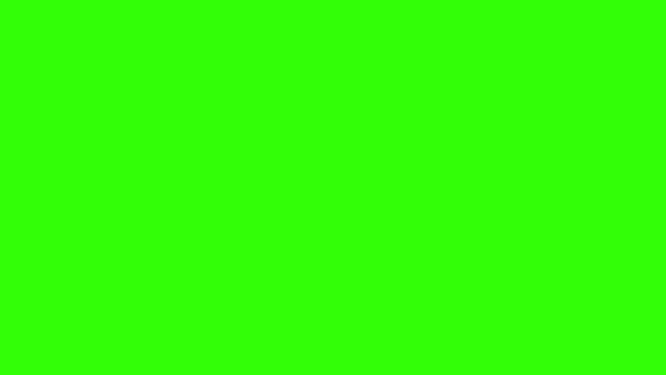 绿色屏风挂装饰圣诞灯饰 — 图库视频影像
