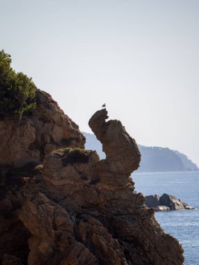 Bir kuş okyanusa bakan bir kayanın üzerinde tünemiştir. Sahne huzurlu ve huzurlu, görüntüde yaşayan tek canlı kuş olduğu için. Kaya oluşumu eşsizdir.