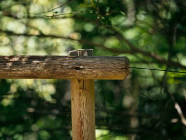 Kırsal ahşap bir direk ve demiryolu yakın çekim, Bir ormanda canlı yeşil yeşillik bulanık bir zemin üzerine kurulmuş