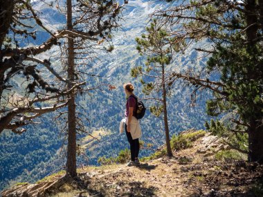 Ormandaki Pireneler 'in dağ yamacında duran bir yürüyüşçü, engebeli arazisi ve berrak gökyüzü olan çam ağaçlarının arasından uzak manzarayı seyrediyor. Doğanın dinginliği ve keşfi