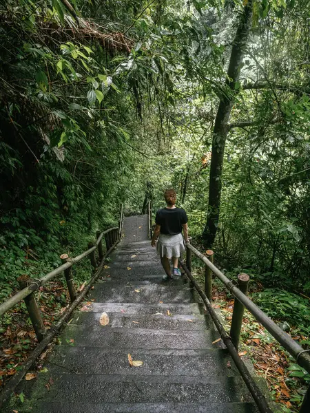 stock image A person descends a set of stone stairs surrounded by dense greenery in a lush tropical forest, embarking on a serene journey into nature's green sanctuary - a peaceful retreat
