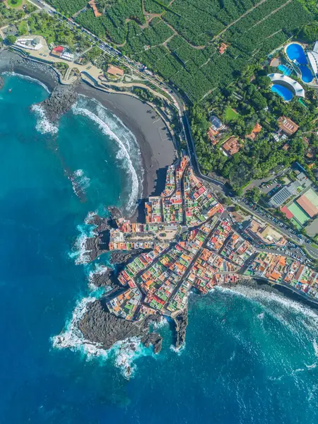 Kuş bakışı. Uçan bir dronun görüntüsü. Punta Brava 'daki Loro parkının panoramik manzarası, Puerto de la Cruz şehri yakınlarında. Tenerife.