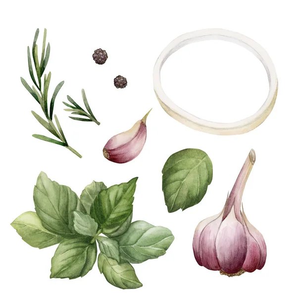 Set Vegetables Garlic Ring Onion Basil Leaves Rosemary Black Pepper — Stock Photo, Image