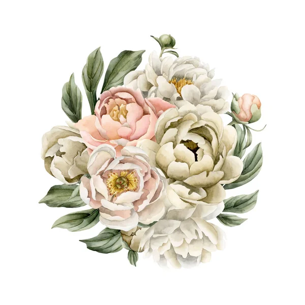 Beyaz Bej Bej Şeftali Rengi Şakayık Çiçekleri Tomurcuklar Yeşil Yaprakların — Stok fotoğraf