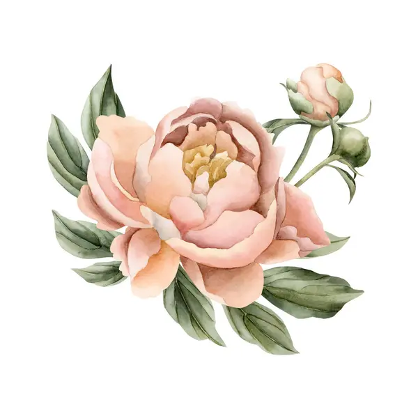 Composition of peach fuzz peony flower, buds and green leaves. Floral watercolor illustration hand painted isolated on white background. Perfect for wedding invitations, greeting cards, wallpapers, wrappers, fabrics, floristics and web design.