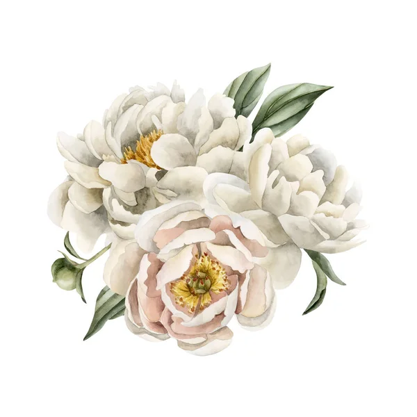 Beyaz Tozlu Şakayık Çiçekleri Yeşil Yaprakların Bileşimi Beyaz Arka Planda — Stok fotoğraf