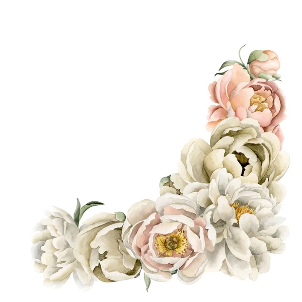 Beyaz Bej Bej Şeftali Rengi Şakayık Çiçekleri Tomurcuklar Yeşil Yaprakların — Stok fotoğraf
