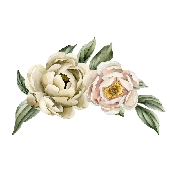 Composition of white powdery and beige peony flowers and green leaves. Floral watercolor illustration hand painted isolated on white background. Perfect for wedding invitations, greeting cards
