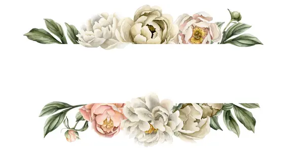 Horizontaal Frame Van Witte Beige Perzik Fuzz Pioenachtige Bloemen Knoppen — Stockfoto