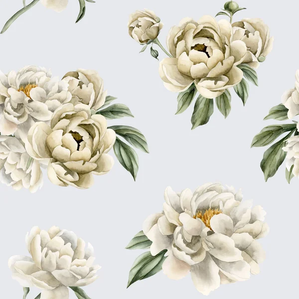 Beyaz Bej Şakayık Çiçekleri Tomurcukları Açık Mavi Arka Planda Yeşil — Stok fotoğraf