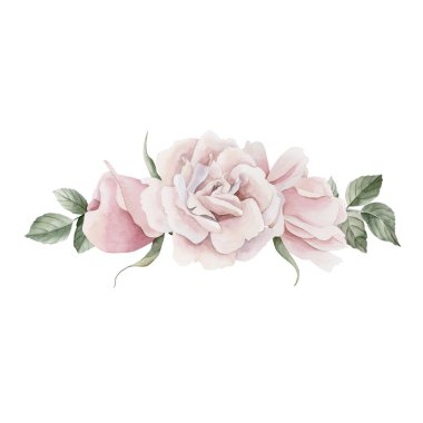 Yapraklı pembe gül kalçası çiçekleri, Victoria tarzı gül. Beyaz arka planda izole edilmiş çiçek suluboya el resmi. Davetiyeler için mükemmel, tebrik kartları, posterler, etiketler, duvar kağıtları, ambalajlar, kumaşlar, tekstil