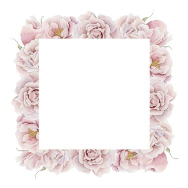 Pembe gül kalça çiçeği çerçevesi. Viktorya dönemi tarzı gül. Beyaz arka planda izole edilmiş çiçek suluboya el resmi. Davetiyeler için mükemmel, tebrik kartları, posterler, etiketler, duvar kağıtları, ambalajlar, kumaşlar, tekstil