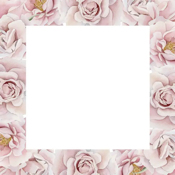 Quadro Horizontal Rosa Rosa Rosa Flores Quadril Botões Folhas Estilo — Fotografia de Stock