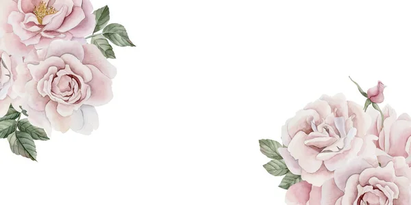 Горизонтальна Рамка Рожевих Троянд Бутонів Листя Вікторіанський Стиль Троянд Квіткова — стокове фото