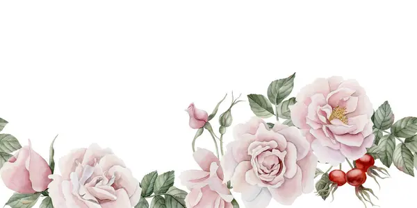 Borda Sem Costura Horizontal Rosa Rosa Rosa Flores Quadril Botões — Fotografia de Stock