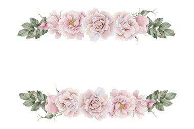 Yapraklı pembe gül kalça çiçeğinin yatay çerçevesi, Viktorya tarzı. Çiçekli suluboya çizimi