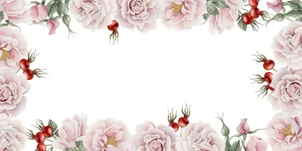 Vandret Ramme Lyserøde Rose Hofte Blomster Knopper Blade Bær Victoriansk - Stock-foto