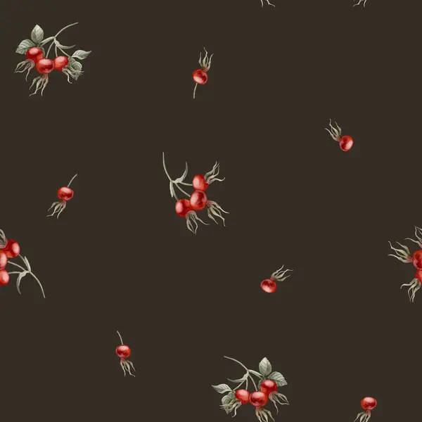Ros Höft Röda Bär Akvarell Sömlös Minimalistisk Blommönster Mörk Bakgrund — Stockfoto
