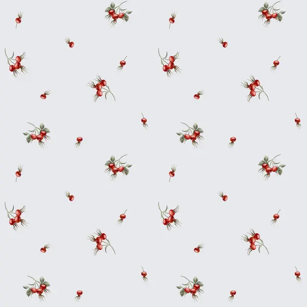Rose Hip Red Berries Watercolor Seamless Minimalistic Floral Pattern Light — Stock Photo, Image