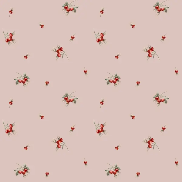 Rose Hip Red Berries Watercolor Seamless Minimalistic Floral Pattern Peach — Stock Photo, Image