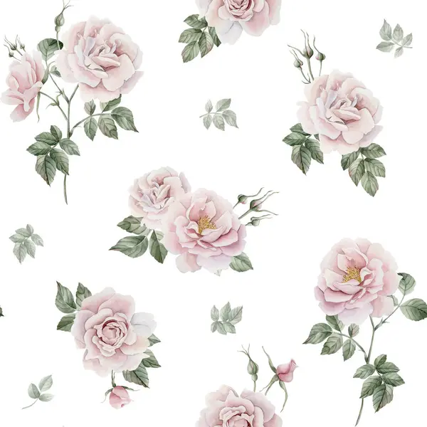 Rose Hip Flores Rosa Com Botões Folhas Verdes Estilo Vitoriano — Fotografia de Stock