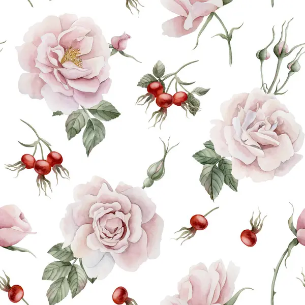 Τριαντάφυλλο Ισχίου Ροζ Λουλούδια Μπουμπούκια Κόκκινα Μούρα Και Πράσινα Φύλλα — Φωτογραφία Αρχείου