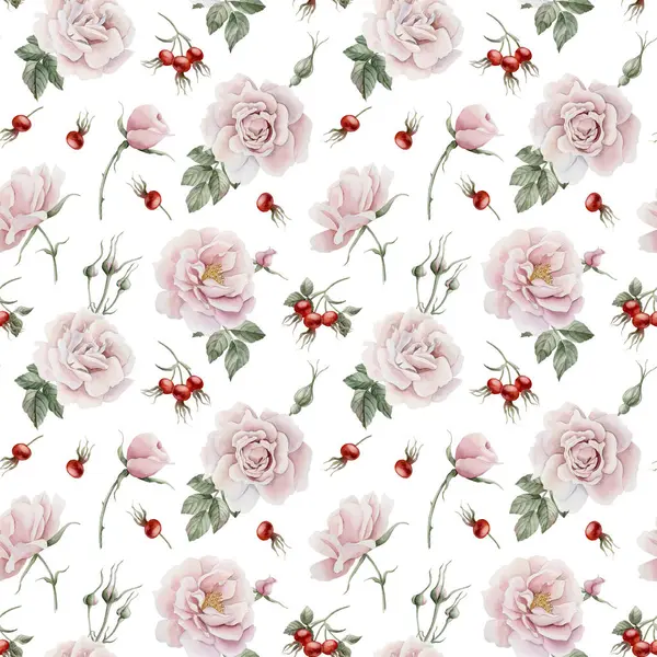 Rose Hip Flores Rosa Com Botões Bagas Vermelhas Folhas Verdes — Fotografia de Stock