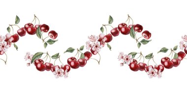 Pembe çiçekli ve yapraklı kiraz meyveleri, izole edilmiş suluboya resimler. Masa tekstili, porselen sofra takımı ve lezzetli baskılar için kusursuz sınır. Yaz kumaşları, ambalajlar ve yiyecek paketleri için meyveler.