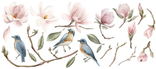 Set Aus Hellrosa Magnolienblüten Und Blauen Vögeln Mit Roter Brust — Stockfoto