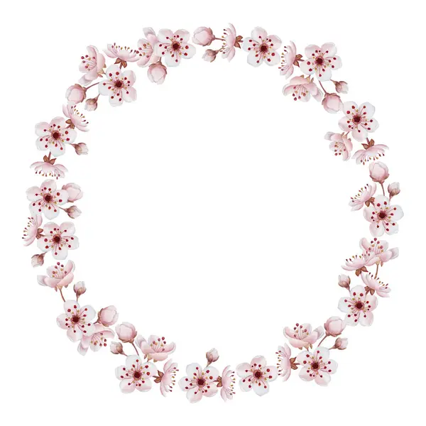 Wreath Cherry Blossom Watercolor Illustration Isolated White Spring Pink Flowers — Stock Photo, Image