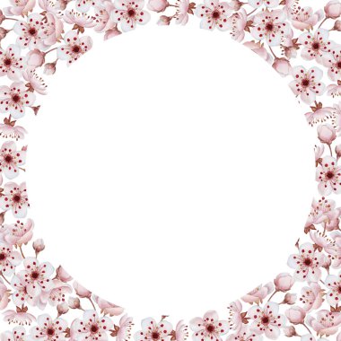 Kiraz çiçekli çerçeve, beyaz üzerine izole edilmiş suluboya çizimi. Masa tekstili için bahar pembe çiçekleri, porselen sofra takımı, lezzetli baskılar, kozmetik paketler, etiketler veya logolar