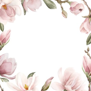 Açık pembe manolya çiçekleri, tomurcuklar, filizler ve yapraklar. Bahar çiçeğinin çerçevesi. Baskı, etiket, kozmetik ambalaj için beyaz arkaplanda izole edilmiş çiçek suluboya el resmi.