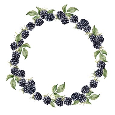 Böğürtlen ve yapraklı böğürtlen çelengi. Masa tekstili, porselen masa takımı ve lezzetli baskılar için suluboya izole edilmiş resim, yaz kumaşları, ambalaj kağıdı, gıda paketleri, etiket, logo