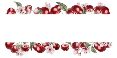 Çiçekli ve yapraklı kiraz meyveleri, izole edilmiş suluboya çizimler. Masa tekstili için böğürtlen, porselen çanak çömlek, lezzetli, yaz kumaşı, ambalaj ve yiyecek paketleri ile yatay çerçeve