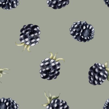 Blackberry, olgun böğürtlen. Suluboya çizimi, gri adaçayı yeşili arka planda çiçeksiz desen masa tekstili için yaz meyvesi, baskılar, yaz kumaşları, ambalaj kağıdı ve yiyecek paketleri.